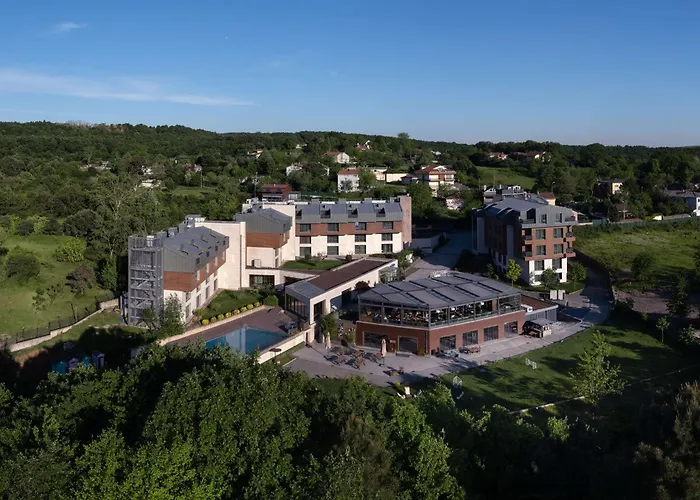 Radisson Istanbul Airport Odayeri丽亭酒店