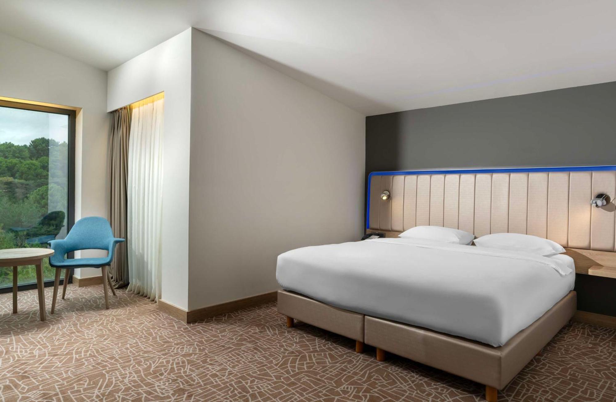 伊斯坦布尔奥达耶里Radisson机场酒店公园